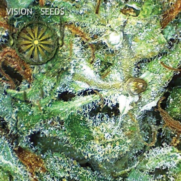 Насіння конопель Big Bud Feminised