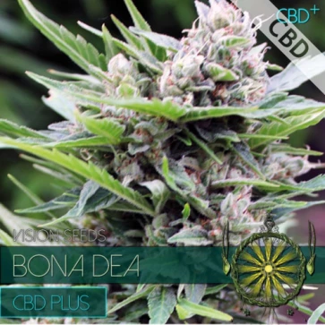 Семена конопли CBD+ Bona Dea Feminised