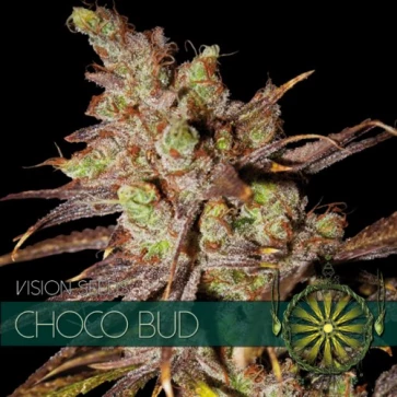 Насіння конопель Choco Bud Feminised